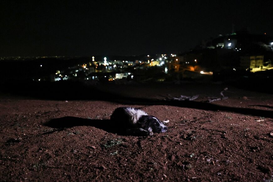 A dog accompanies men watching over livestock on the outskirts of the village of the West Bank village of Al-Mughayyir