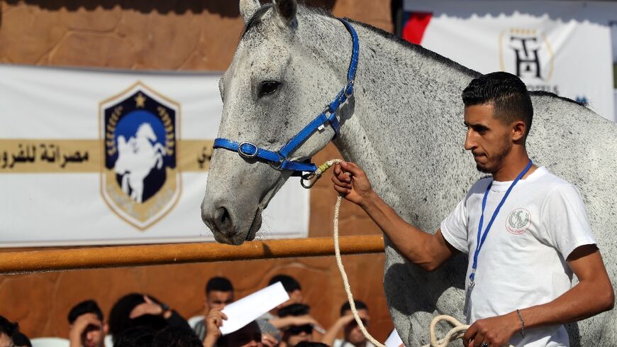 A three-day auction in Libya's Mediterranean coastal city of Misrata found homes for 96 of some 150 horses on sale
