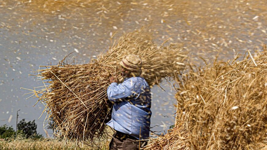 Egypt to plant wheat in Congo amid water shortage - Al-Monitor