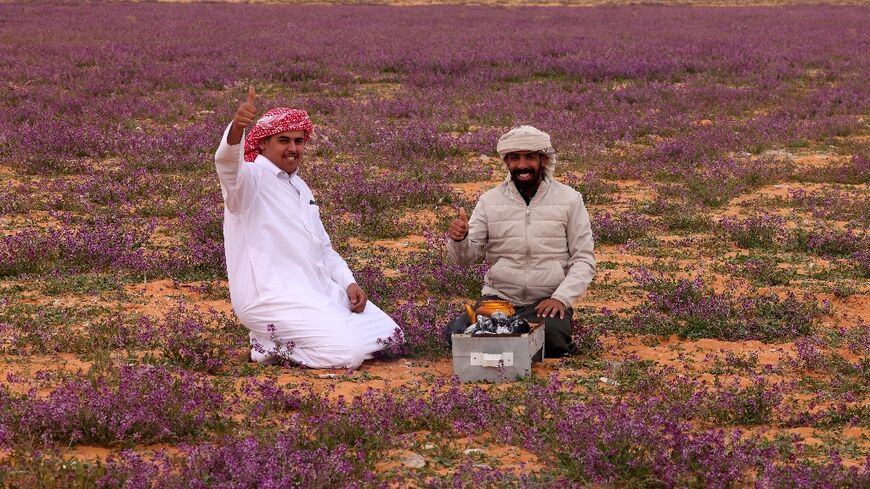 Saudi sightseers prepare tea in the carpet of lavender that has bloomed in the desert near the Iraqi border following heavier than usual rains
