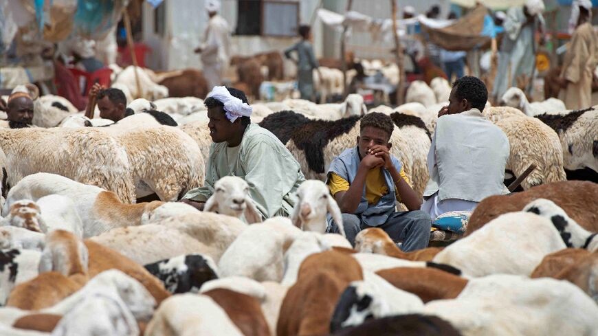 Traders wait for customers at a livestock market ahead of the Muslim feast of Eid al-Adha in al-Hasaheisa, about 120 kilometres south of Sudan's capital, on June 26, 2023.