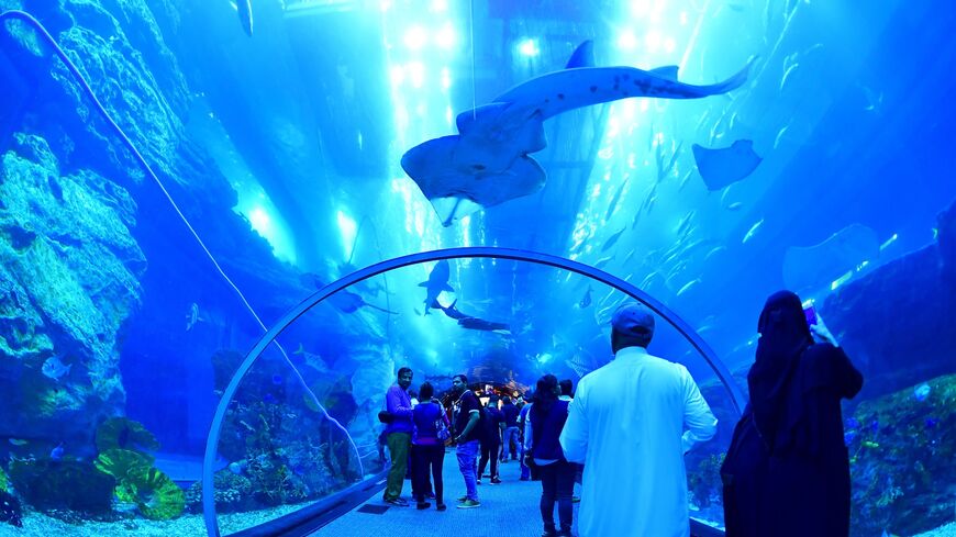 Tourists and locals visit the Dubai Mall aquarium in downtown Dubai, January 2, 2019. 