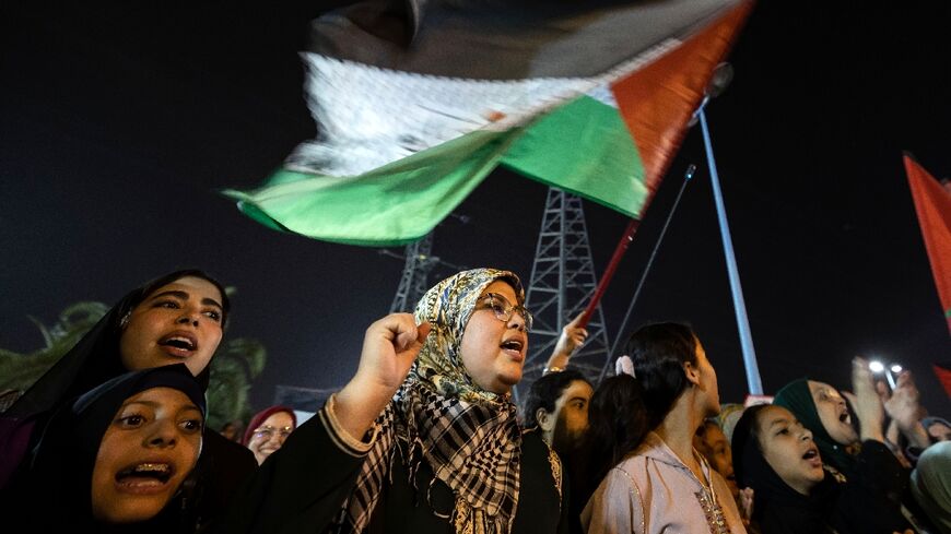 Protesters demonstrate in solidarity with Palestinians