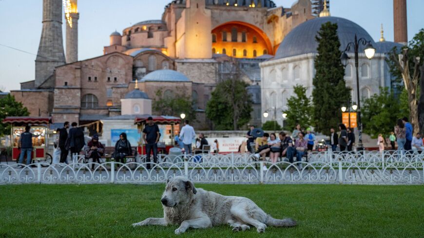 A stray dog sits in front of the Hagia Grand Mosque, in Istanbul, on May 30, 2024.