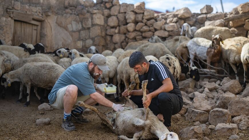 Hasan Kizil volunteers to treat animals injured in a fire