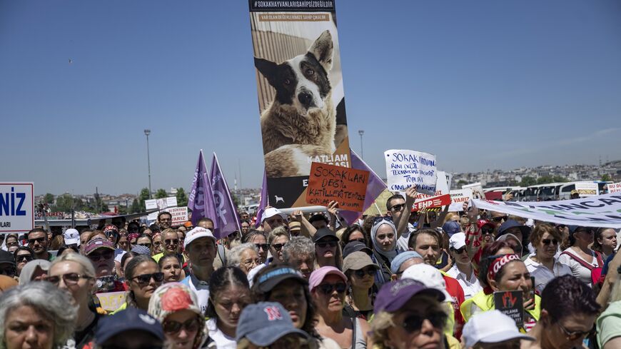 Animal right activists attend a protest against the ruling party AKP's bill aimed at removing stray dogs from the streets, on June 2, 2024, in Istanbul.