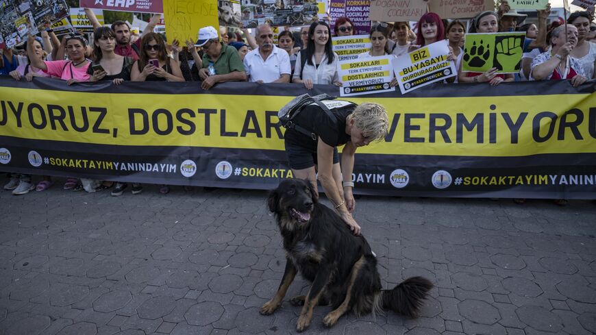 An animal activist pats a stray during a rally to protest against a bill drafted by the government that aims to remove stray dogs off the country's streets, in Istanbul on July 23, 2024. 
