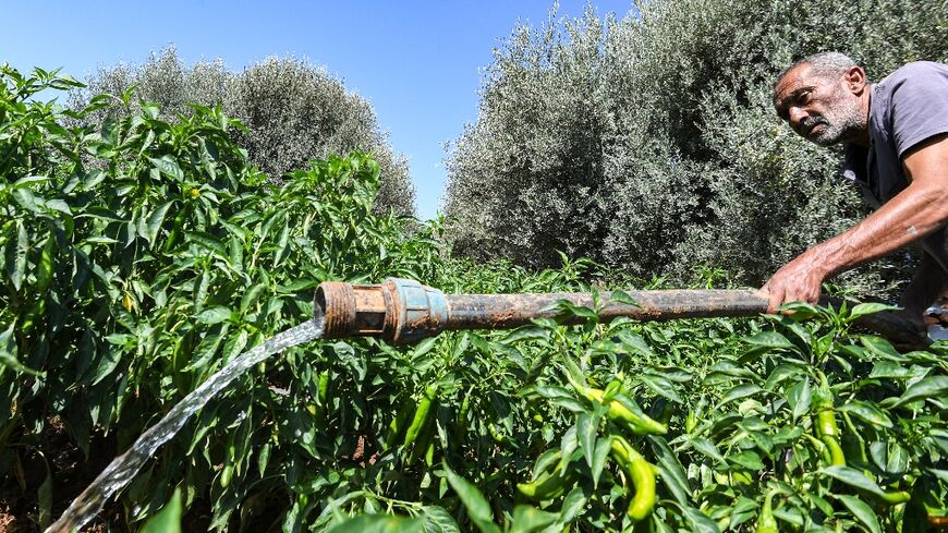 A dam built by a woman farmer in a Tunisian village has turned her into a local hero after it helped increase local growers' yields