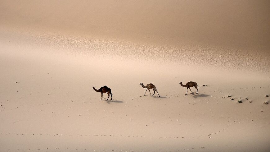 Saudi Arabia is home to one of the world's biggest deserts