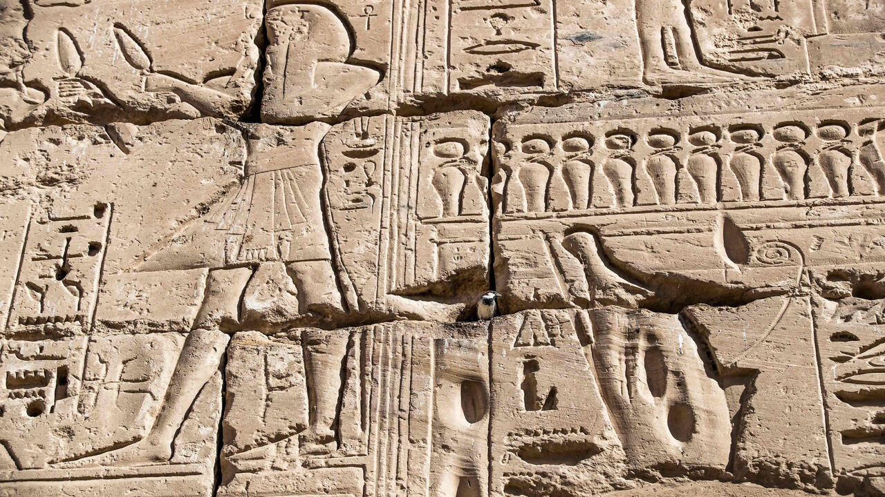 A sparrow perches in a recess along a wall adorned with reliefs at the Mortuary Temple of the 20th dynasty Pharaoh Ramses III at Medinet Habu, on the west bank of the Nile outside Luxor, Egypt, April 10, 2021.