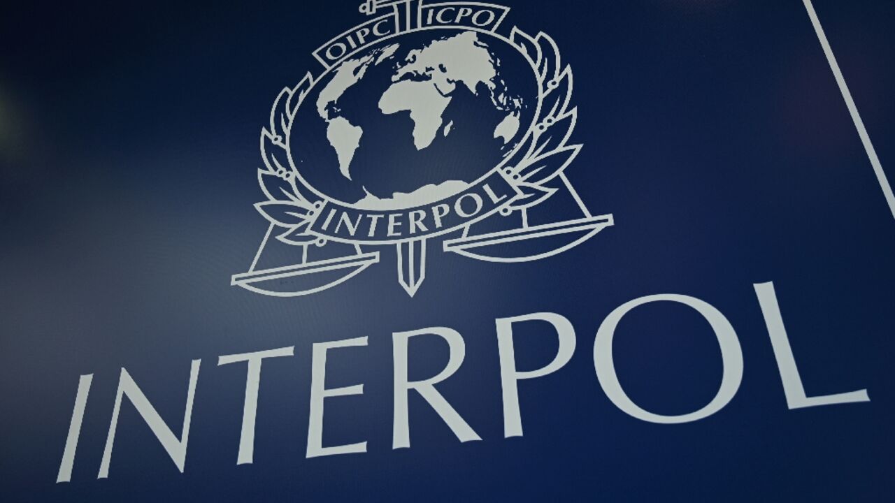 The United Arab Emirates donated tens of millions to Interpol