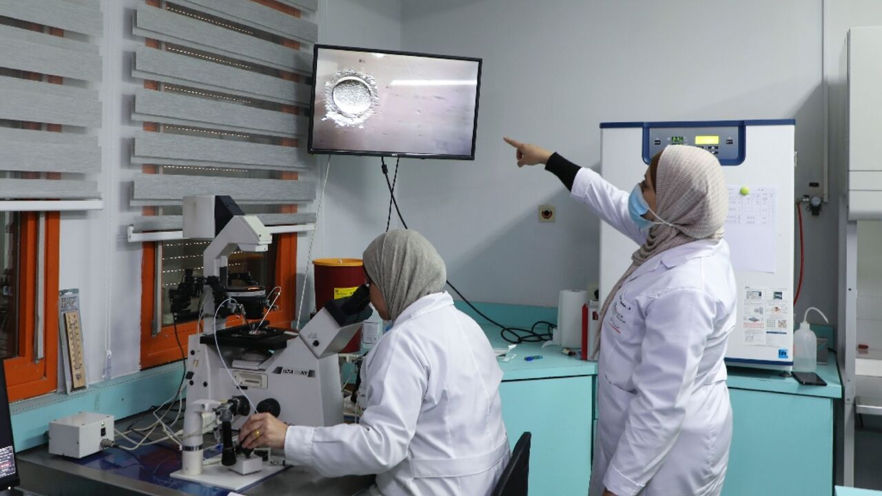 In this file photo taken on January 27, 2021, Palestinian doctors and technicians work at the IVF laboratory at the Razan Center fertility clinic in Nablus, in the Israeli-occupied West Bank