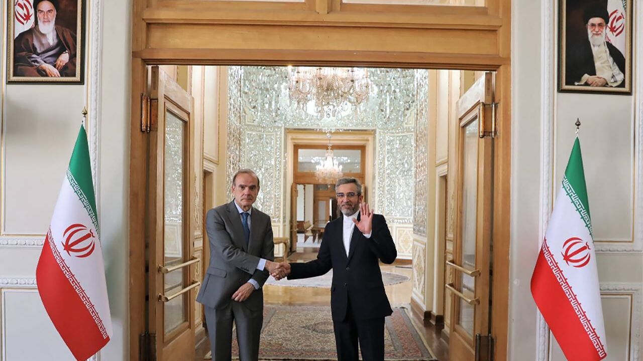 Iranian Deputy Foreign Minister and chief nuclear negotiator Ali Bagheri (L) welcomesEU deputy foreign policy chief Enrique Mora in the capital Tehran