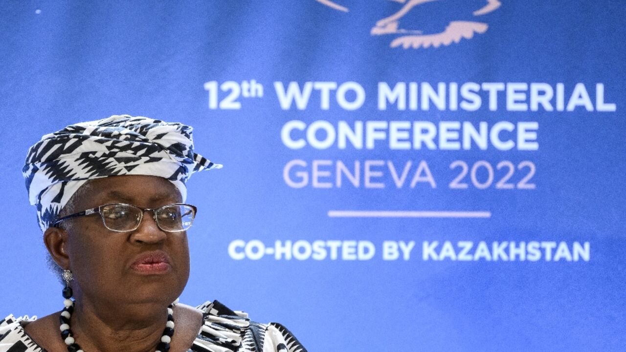 WTO chief Ngozi Okonjo-Iweala has staked her leadership on breathing new life into the sclerotic organisation