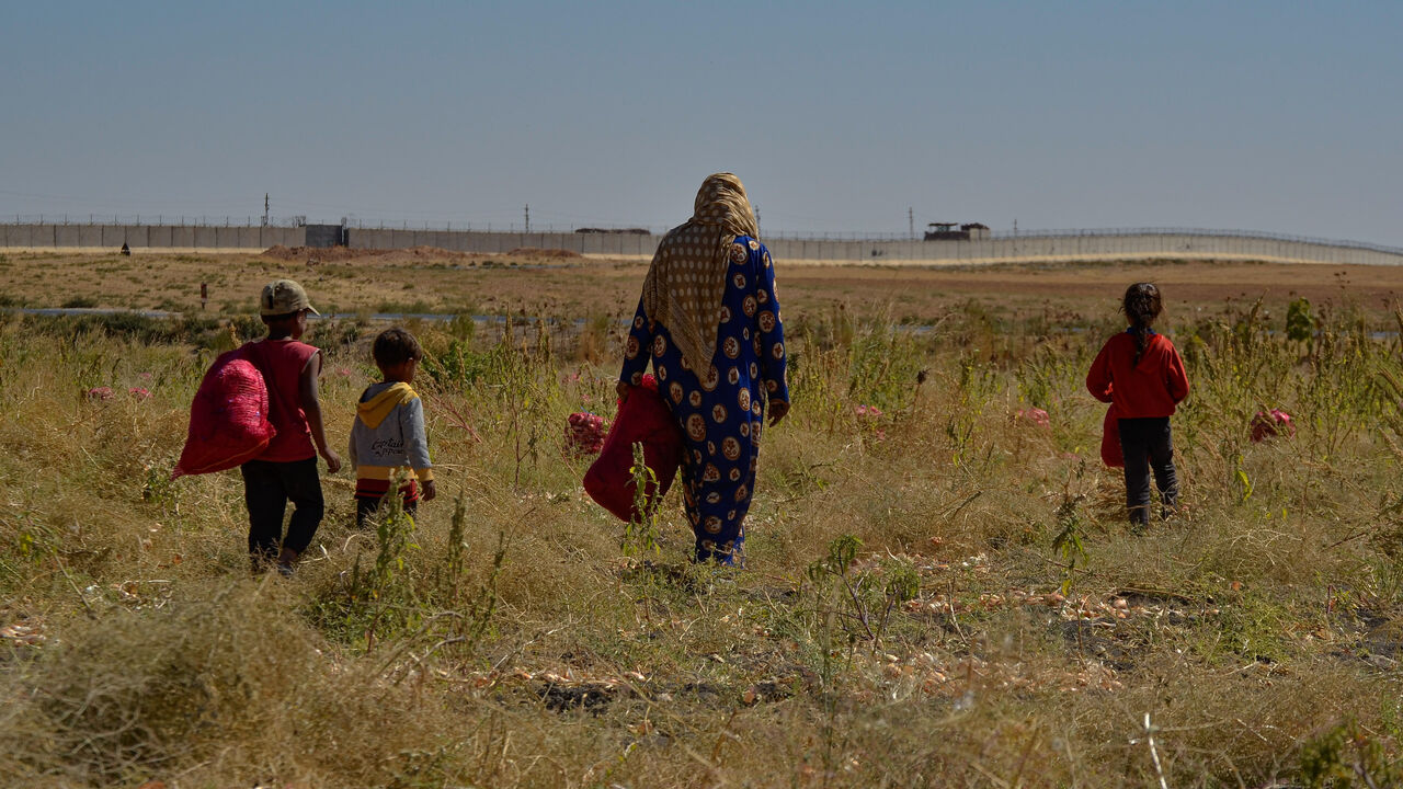 Daily workers harvest onions near Turkey’s border wall with Syria, Sept. 29, 2022.