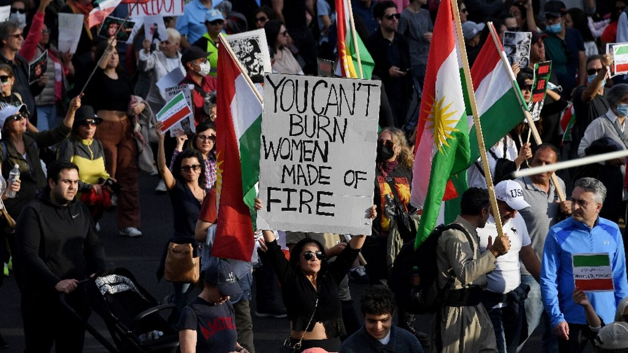 Protesters march in Washington to show support for demonstrations sweeping Iran 