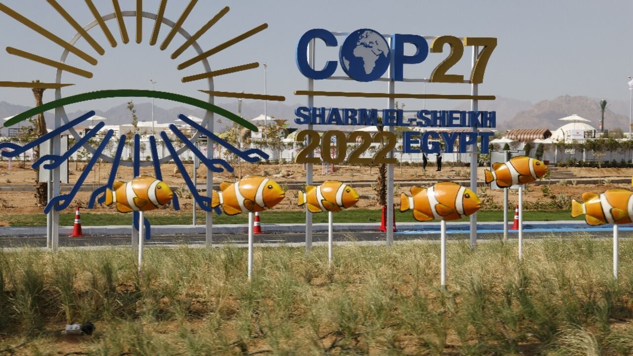 The COP27 climate conference enters its second week with countries still far apart on key issues