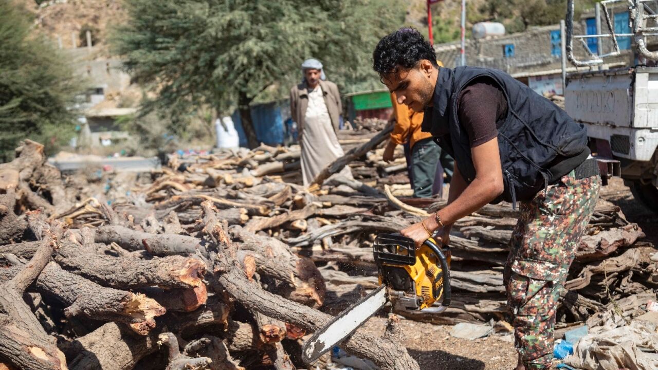 Environmental expert Anwar al-Shazli says more than six million trees have been felled since the start of Yemen's war 