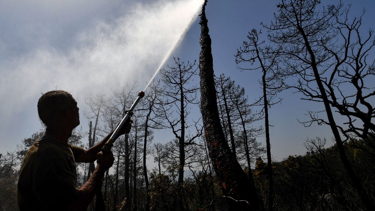 A man sprays water on burned trees near Tabarka near Tunisia's border with Algeria