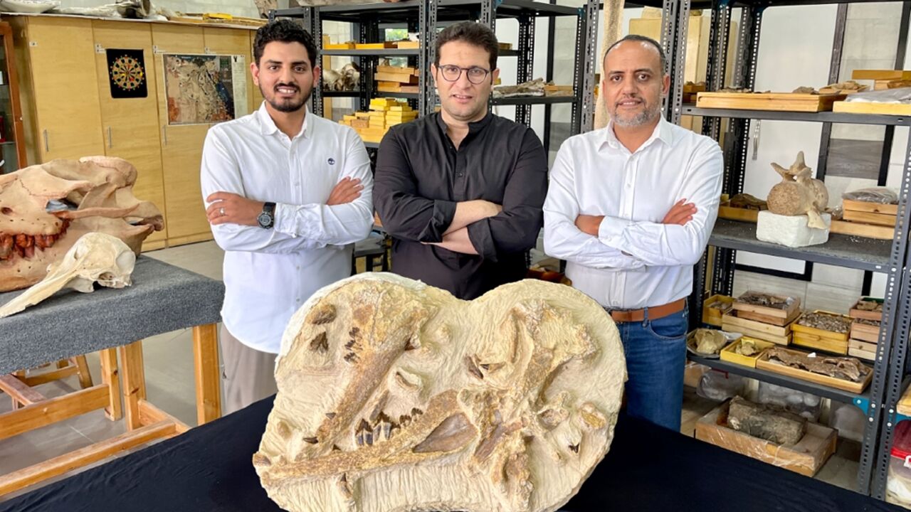 Palaeontologists led by Hesham Sallam of the American University in Cairo (R) show off the type specimen of Tutcetus rayanensis, an extinct species of whale that lived 41 million years ago and still had recognisable legs