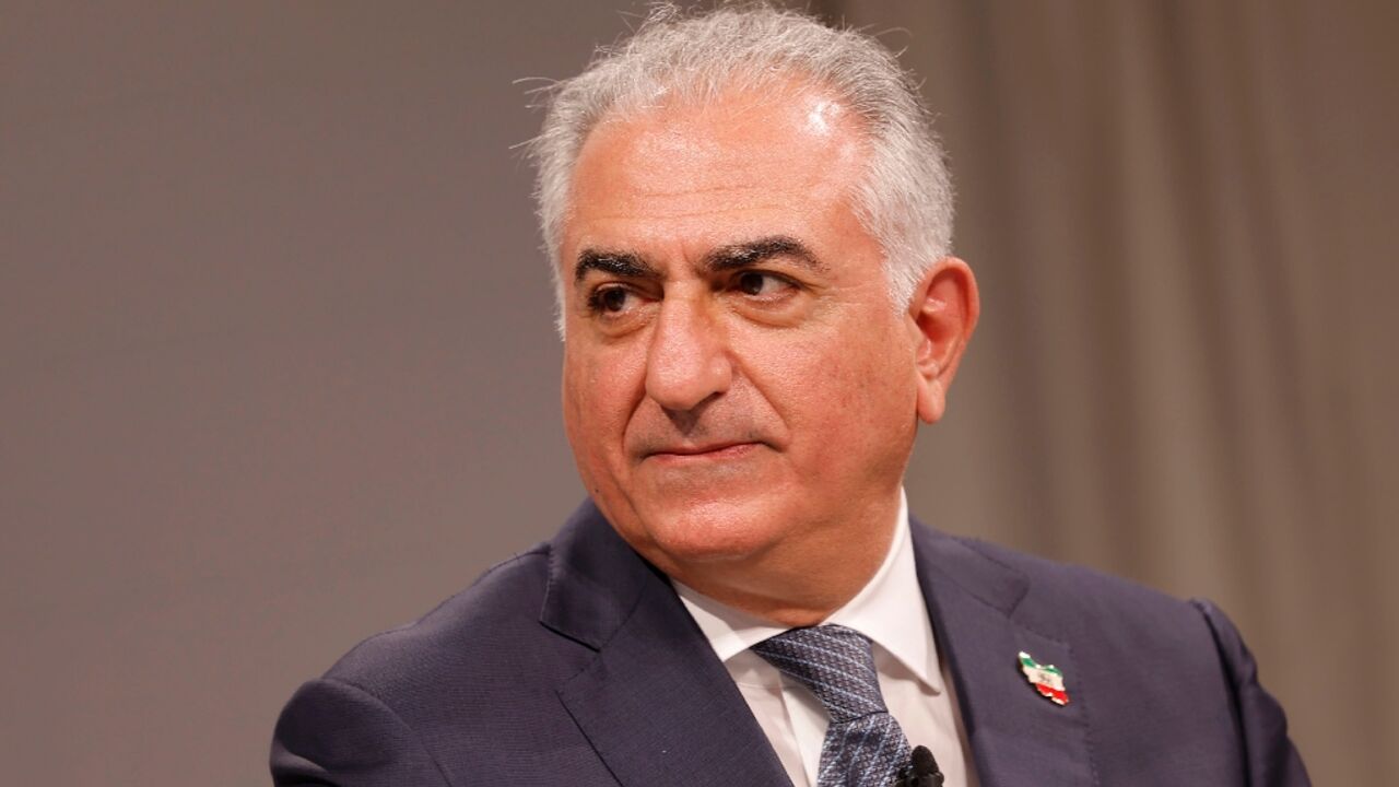 The leadership of Reza Pahlavi, the son of the last shah, has proved divisive