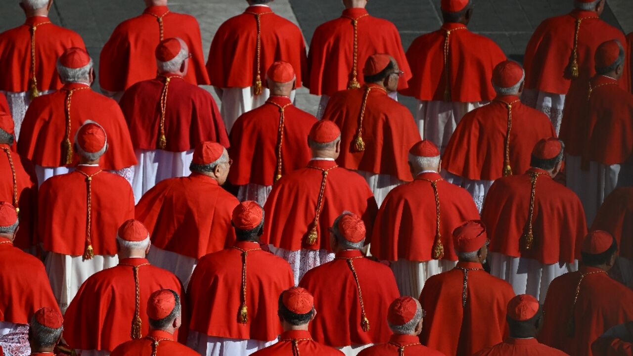 The group of 21 new cardinals includes diplomats, advisors and administrators