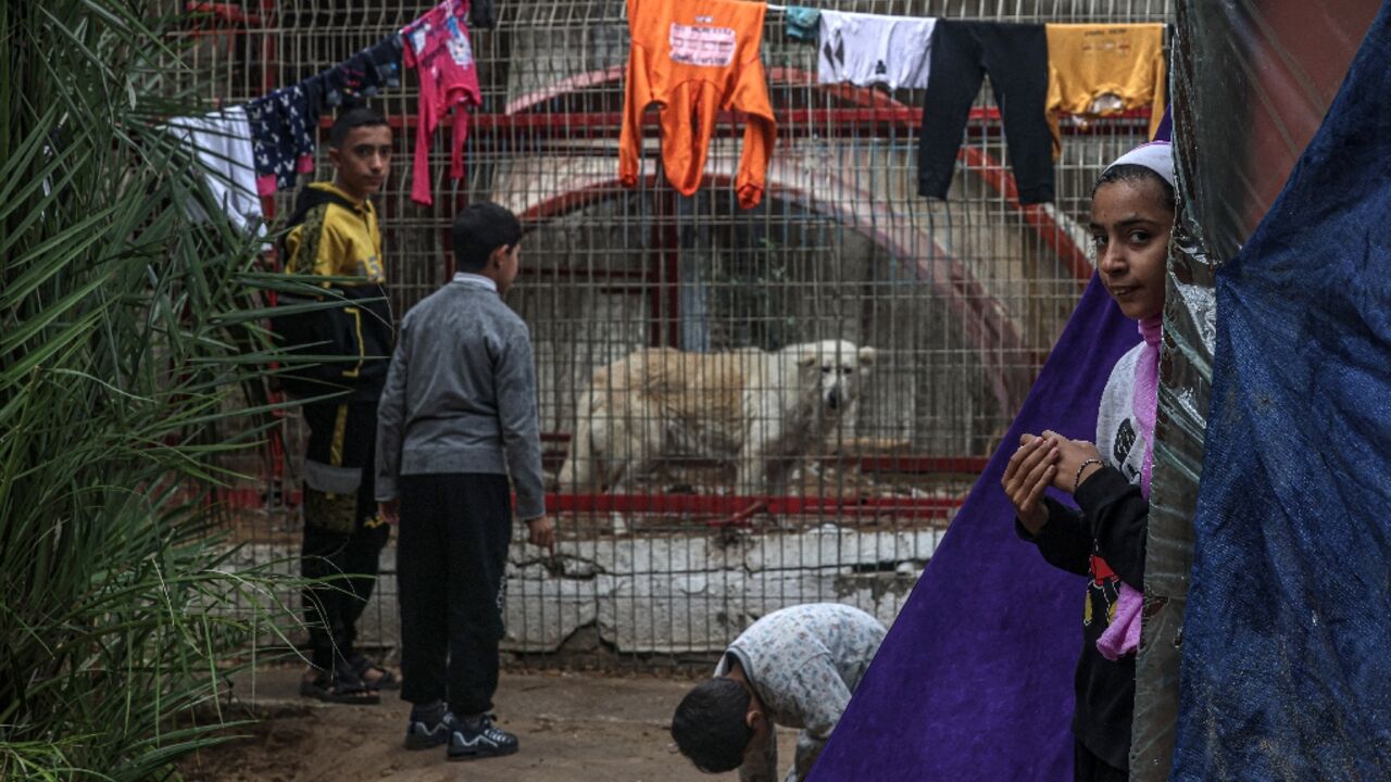 Displaced Palestinians have sought shelter at Rafah zoo from the fighting in Gaza
