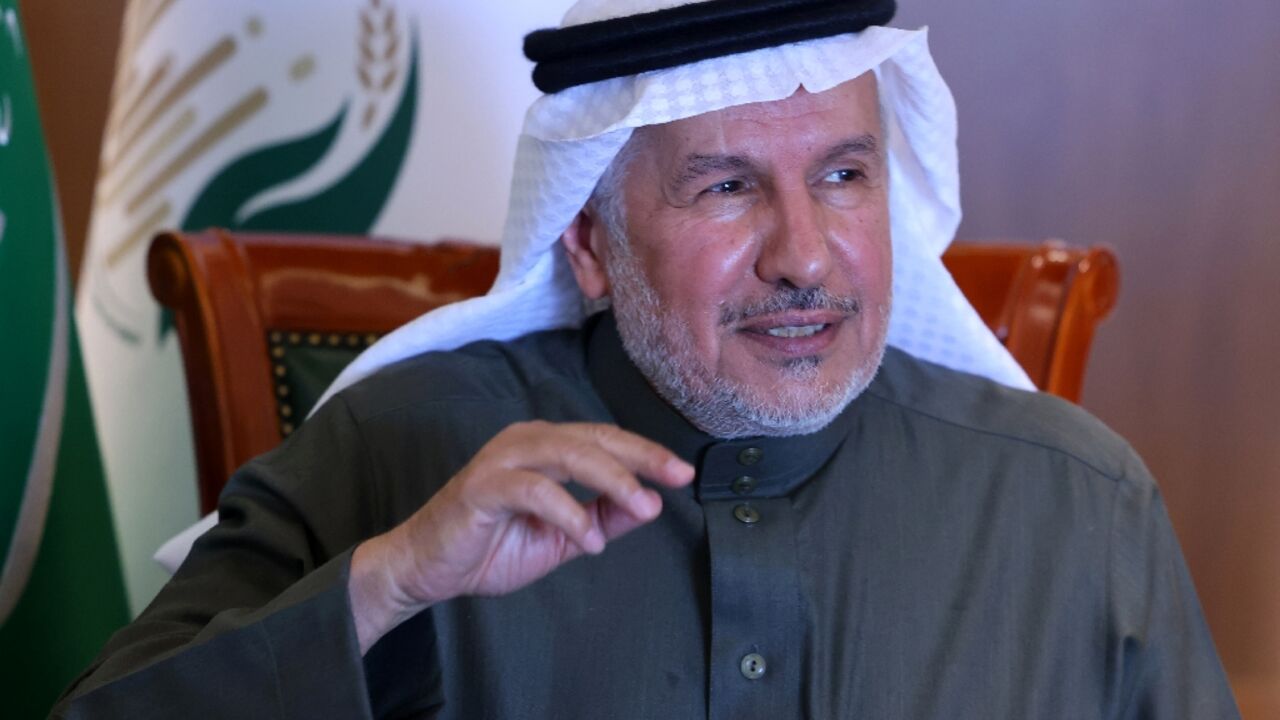 The head of Saudi Arabia's humanitarian agency, Abdullah al-Rabeeah, speaks to AFP during an interview in Riyadh