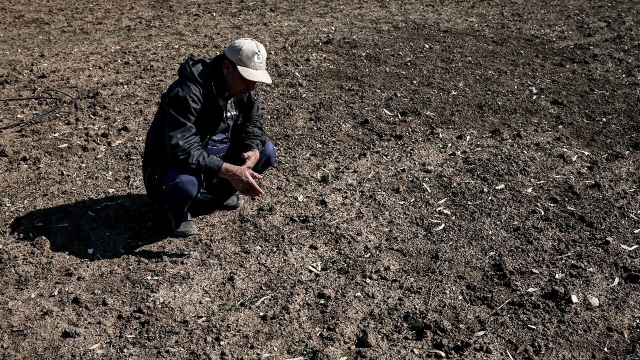 A sixth consecutive year of drought is hitting Morocco's farmers