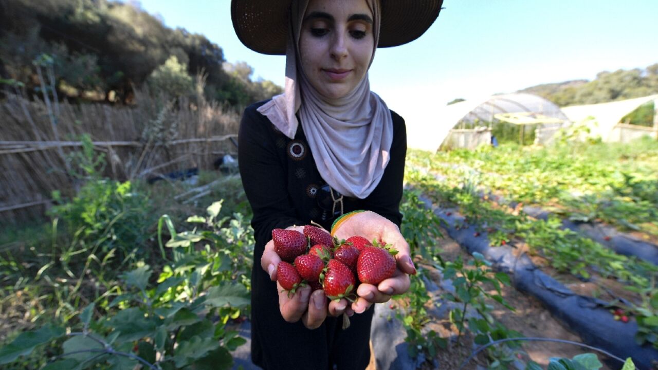 Ibtissem Mahtout with a handful of freshly picked strawberries