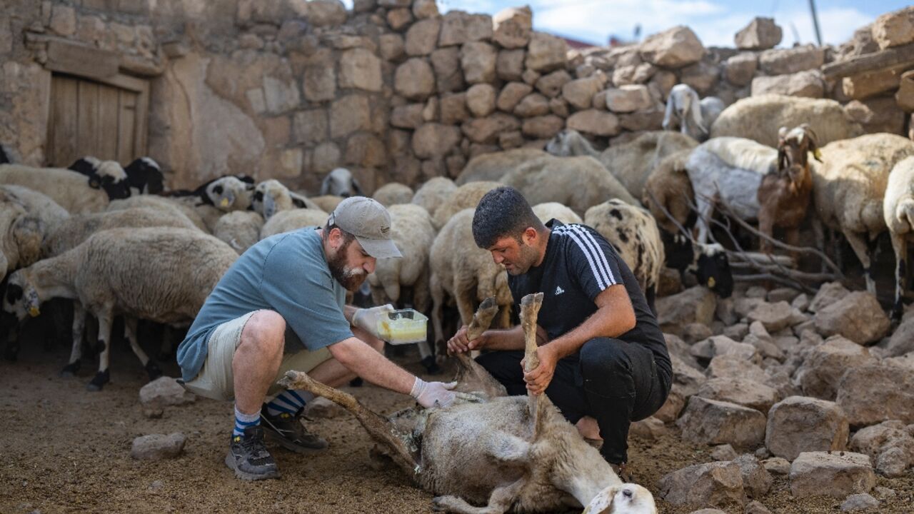 Hasan Kizil volunteers to treat animals injured in a fire