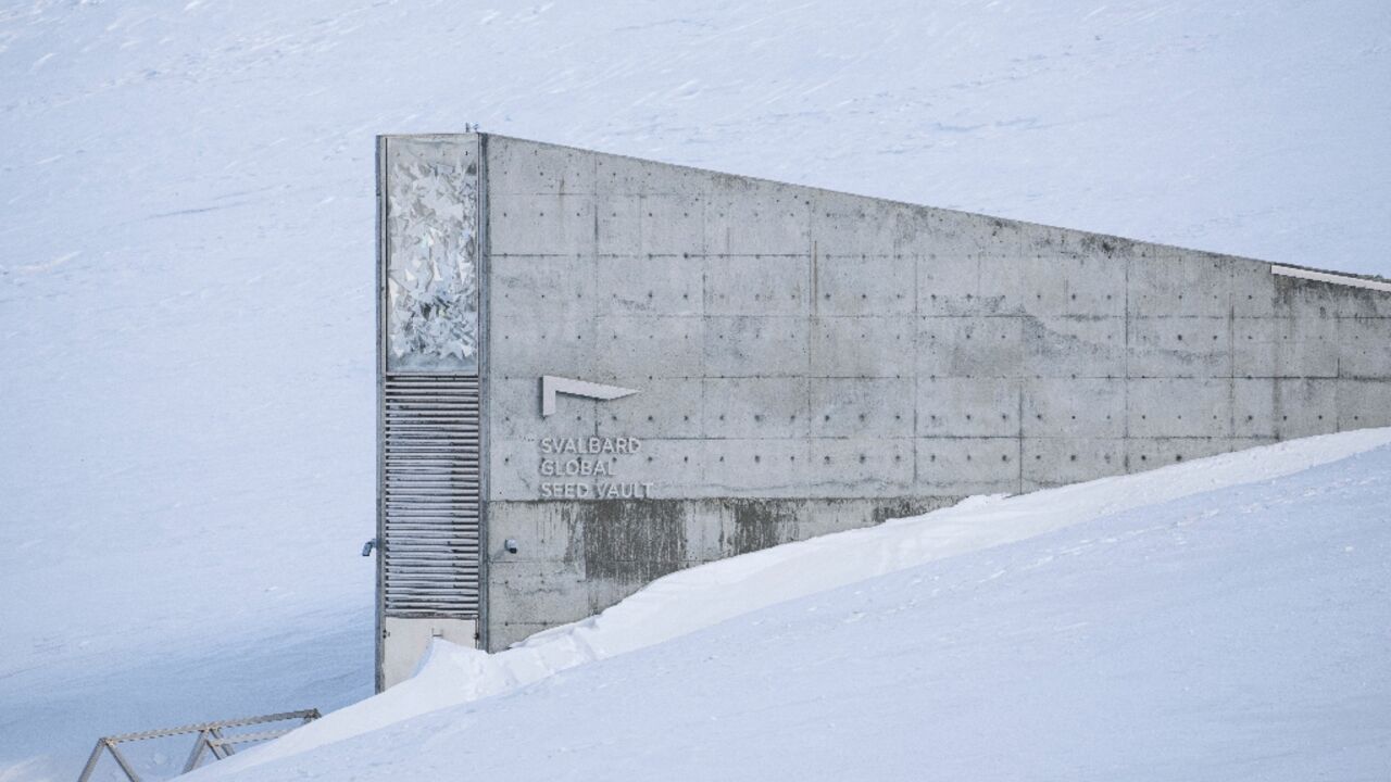 The Global Seed Vault offers a safety net in case of natural catastrophe, war, climate change, disease or manmade disasters