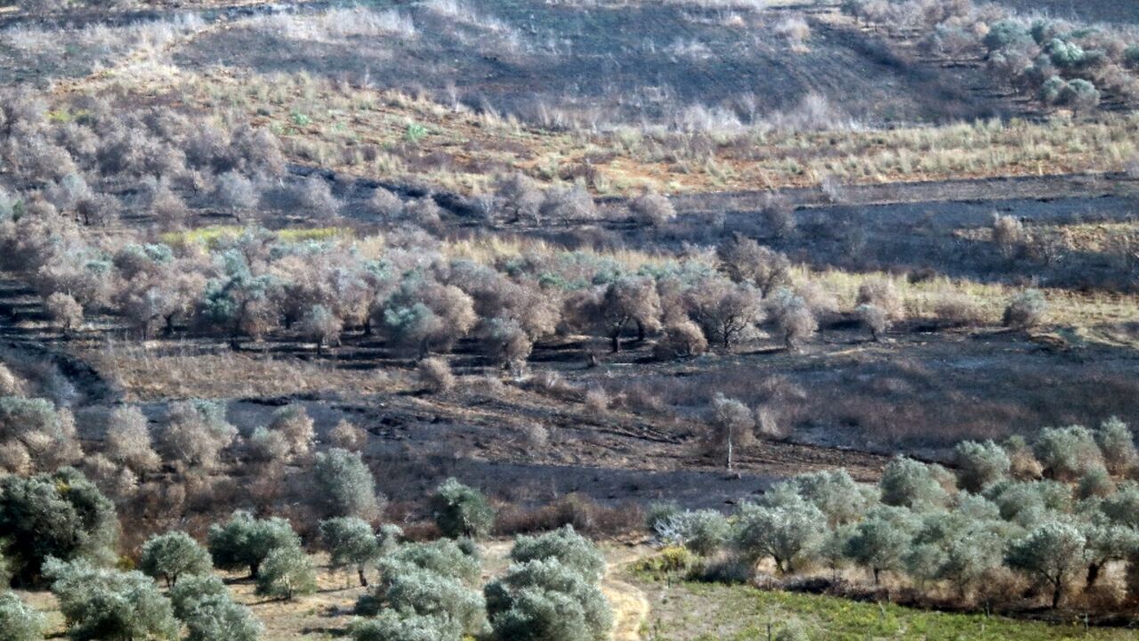 The conflict has displaced more than half a million people, including farmers who abandoned their crops just when they were ready to harvest