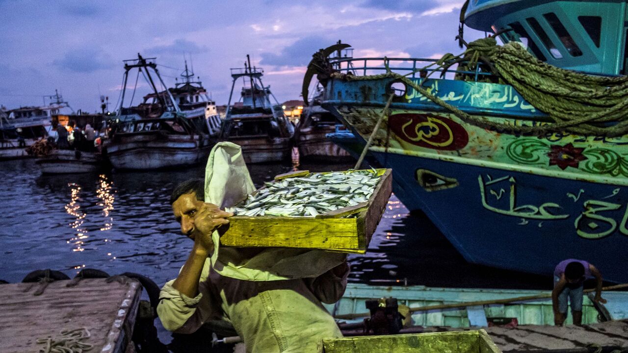 A worker unloads iced freshly-caught fish off a fishing boat at a pier in the Egyptian town of Ezbet al-Borg along the Nile river delta's Damietta branch near the estuary into the Mediterranean sea, in the northern Governorate of Damietta, some 265 kilometres north of the Egyptian capital on October 22, 2019. (Photo by Khaled DESOUKI / AFP) (Photo by KHALED DESOUKI/AFP via Getty Images)