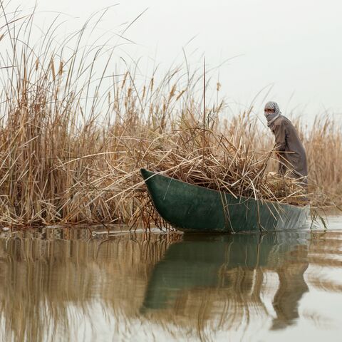 An Iraqi farmer on a boat collects reeds from the banks of the southern Chibayish marshes in Dhi Qar province, on January 23, 2023, as water levels recover following a rainy period. (Photo by ASAAD NIAZI/AFP via Getty Images)