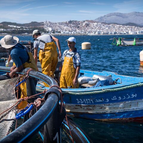 Fisherman work on a fish farm off the coast of Moroccan city of M'diq, on October 3, 2019. - With fish stocks declining in the Mediterranean, struggling Moroccan fisherman are hoping to turn to aquaculture as a way to secure their future. Figures from Morocco's department of maritime fishing confirm the decline. Catches in the eastern Oriental region dropped from 14.7 tonnes to 7.4 between 2013 and 2017. (Photo by FADEL SENNA / AFP) (Photo by FADEL SENNA/AFP via Getty Images)