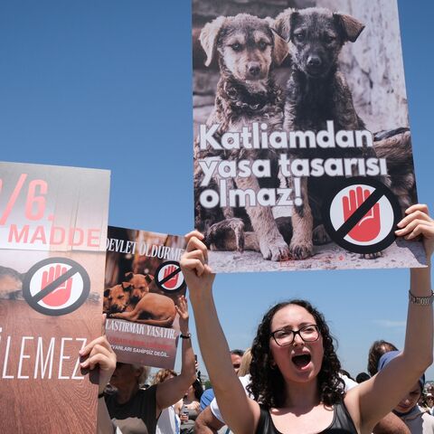 Animal right activists attend a protest against the ruling party AKP's bill aimed at removing stray dogs from the streets, on June 2, 2024, in Istanbul, Turkey.