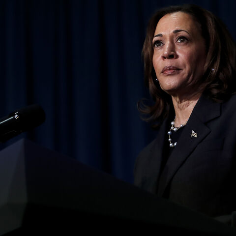 KALAMAZOO, MICHIGAN - JULY 17: U.S. Vice President Kamala Harris attends a moderated conversation with former Trump administration national security official Olivia Troye and former Republican voter Amanda Stratton on July 17, 2024 in Kalamazoo, Michigan. (Photo by Chris duMond/Getty Images)