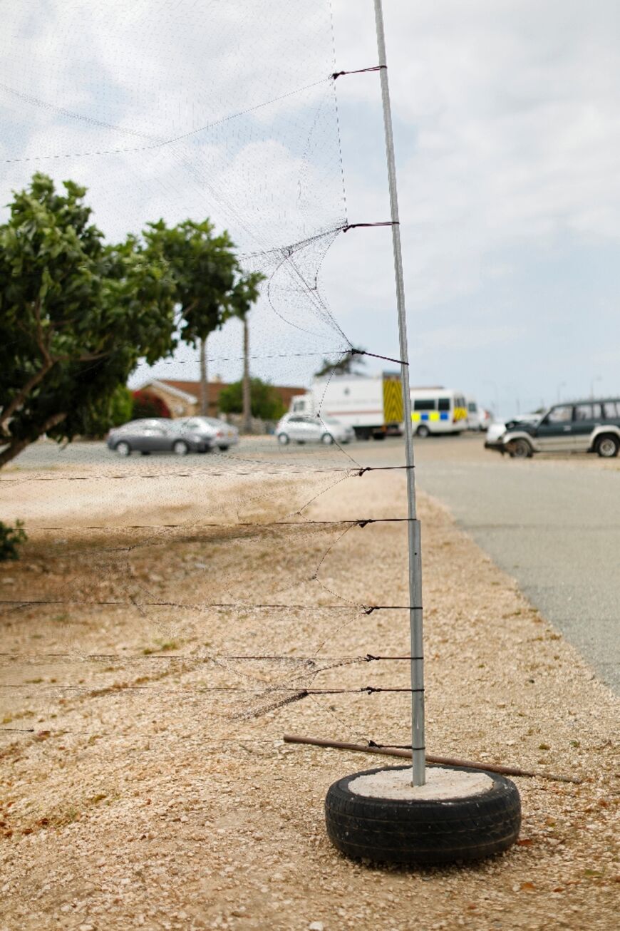 A "mist net" similiar to those used by trappers to illegally catch migratory birds is shown in a picture from 2017 at the UK Sovereign Base Area of Dhekelia in Cyprus