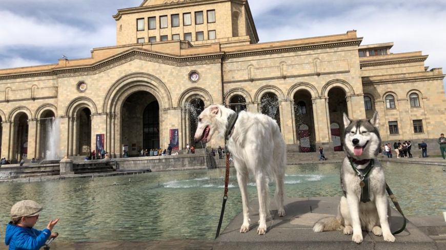 Russia’s invasion of Ukraine has led thousands of Russians and their pets to seek sanctuary in Armenia. Yerevan, April 10 2022. (Al-Monitor/Amberin Zaman)