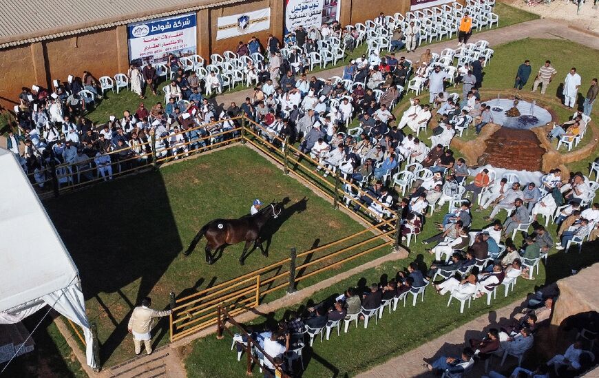 An aerial view shows visitors at an auction of Arabian horses in Misrata, some 200 kilometres east of the Libyan capital