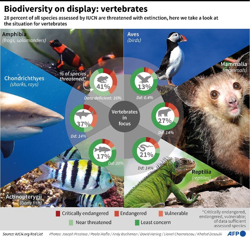 Extinct-in-the-wild Species In Conservation Limbo - Al-Monitor: The ...