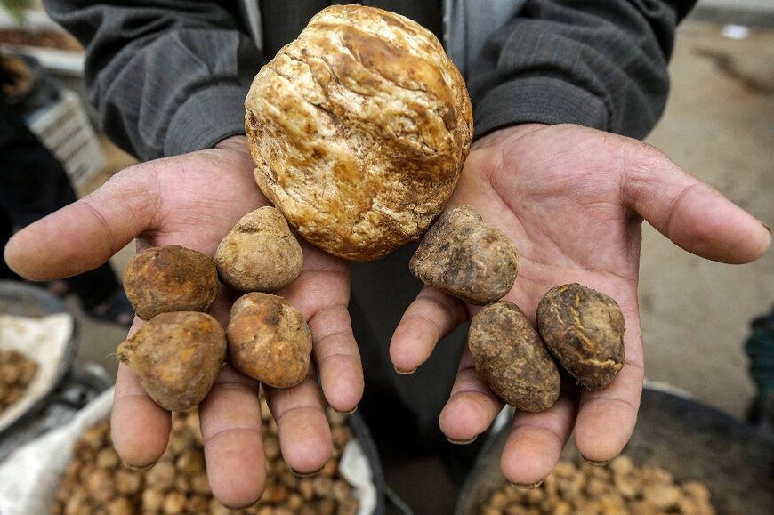 Truffles fetch up to $25 per kilo ($11 per pound) in Hama depending on size and grade, a huge sum for Syria, where the average monthly wage is around $18