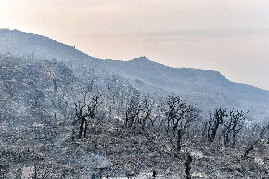 Algeria Battles Wildfires That Have Killed 34 - Al-Monitor: The Middle ...