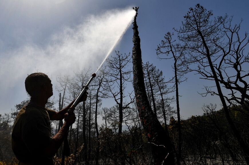 A man sprays water on burned trees near Tabarka near Tunisia's border with Algeria