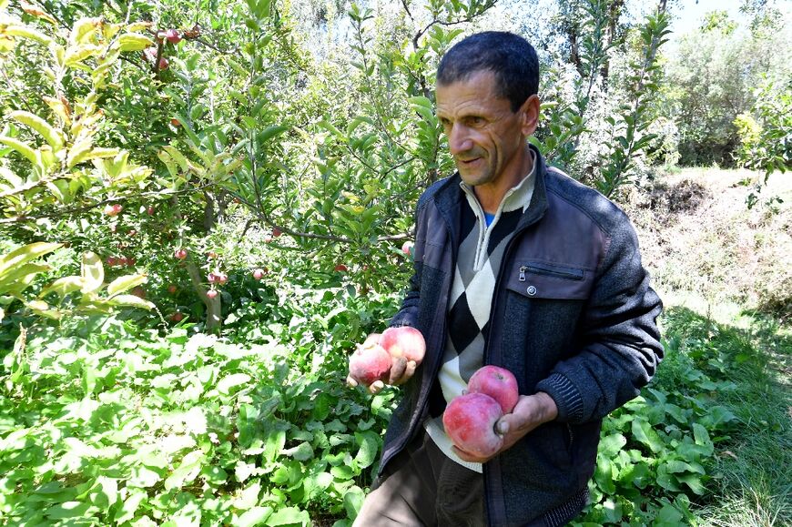 Farmer Mohammed Al Moutawak with apples that fell prematurely from his trees during the earthquake