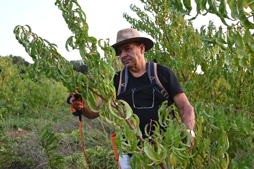 'I'd be lying if I said I wasn't afraid,' says Israeli farmer Moshe Dadoush. 'But I have to stay here and take care of my trees'