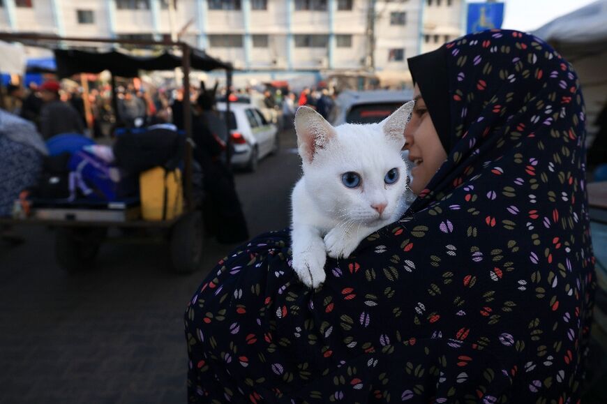 A woman carries her cat as Palestinians return to their homes in the Gaza Strip after a four-day Israel-Hamas truce takes effect