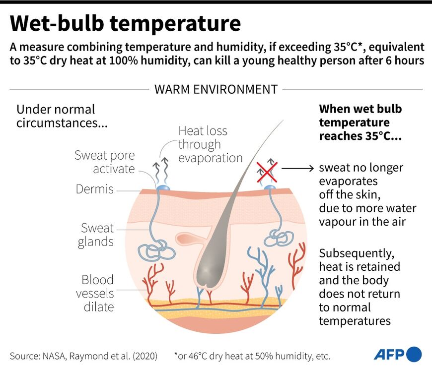 Graphic explaining wet-bulb temperature
