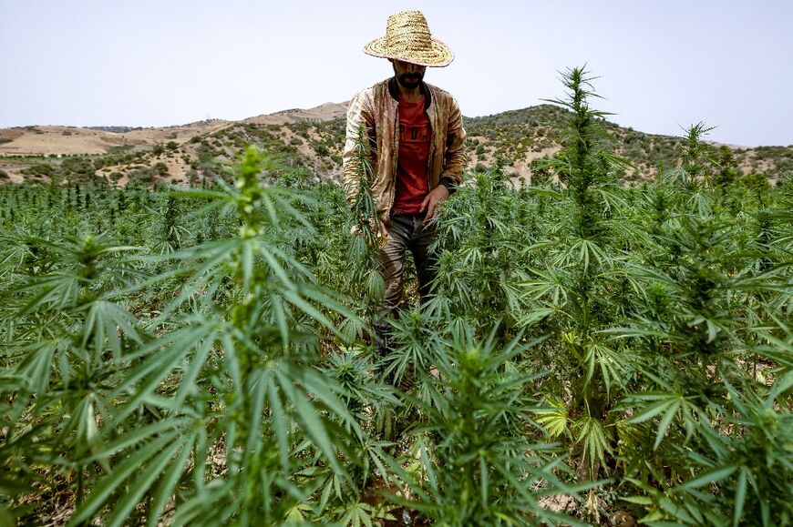 Chefchaouen is one of three Moroccan provinces where cannabis cultivation is permitted for non-recreational use